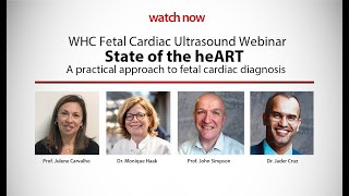 State of the heART – A practical approach to fetal cardiac diagnosis [upl. by Townie]