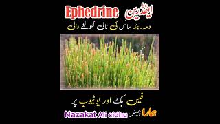 Ephedrine ephedra medicine treatment therapy [upl. by Goer]