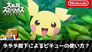 【スマブラSP】デデデ陛下のピチューの使い方実況プレイ【字幕コメ付き】 [upl. by Ulises]