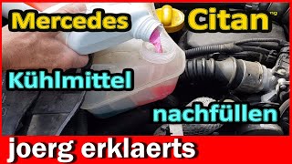 Mercedes Kühlmittel nachfüllen auffüllenTutorial DIY Citan [upl. by Alphonse]