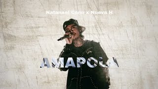 AMAPOLA  Audio Oficial Natanael Cano y Nueva H [upl. by Yoj]