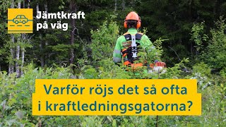 Jens hjälper sällsynta fjärilar i Östersund  Jämtkraft på väg  Elnät [upl. by Asik414]