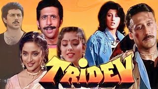 Tridev Full Movie 1989 Sunny Deol Jackie Shroff Madhuri Dixit Naseeruddin  Facts And Review [upl. by Faxan]