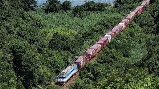 肥薩おれんじ鉄道 上田浦〜たのうら御立岬公園4093レ EF81 [upl. by Bluefield]