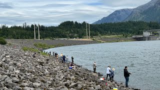 Bonneville Dam Shad Fishing June 01 2024 [upl. by Duquette]