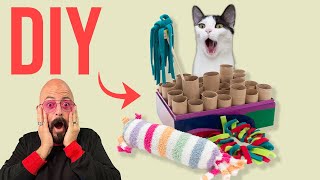 Make Your Cat Happy with DIY Cat Toys [upl. by Rochelle]