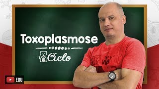 Ciclo da Toxoplasmose I Parasitologia [upl. by Ennagrom]