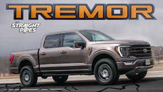 2022 Ford F150 Tremor Review [upl. by Eelrak110]