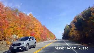 Algonquin Provincial Park Spectacular Fall Colours [upl. by Annek]