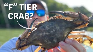 I Tried 20 Different Crabs And Ranked Them All [upl. by Ashly497]