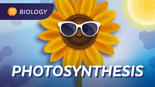 Photosynthesis The Original Solar Power Crash Course Biology 28 [upl. by Murial]