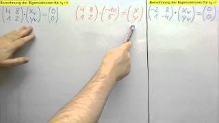 Eigenwerte und Eigenvektoren einer 2x2 Matrix berechnen [upl. by Anoel885]