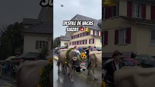 Celebrando su bajada de los Alpes fypyoutube viralvideo vacas [upl. by Leirol111]