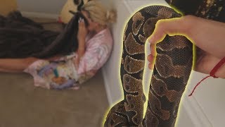 INSANE SNAKE PRANK ON GIRLFRIEND SHE CALLED HER MOM [upl. by Elbas]