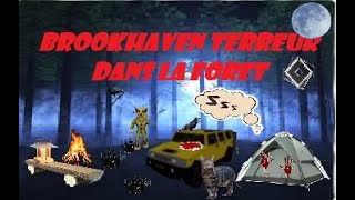 TERREUR Au Camping De Brookhaven PART 1 [upl. by Marrilee]