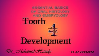 Root formation  clinical consideration of tooth develop  Oral Biology  Tooth development [upl. by Aenad]