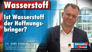 Wasserstoffsymposium der AfD Fraktion im deutschen Bundestag [upl. by Materi138]