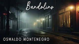 Bandolins de Oswaldo Montenegro  Lyric video [upl. by Ahterod]