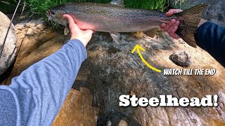 Float fishing Steelhead Multiple fish caught [upl. by Aikemaj]