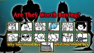 Why And What You Should Buy  Buyable Special Cats  Battle Cats [upl. by Olecram553]