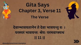 Bhagavad Gita Chapter 3 Verse 11  Gita Says geetakagyan gitasandesh bhagavadgitaquotes krishna [upl. by Luana219]