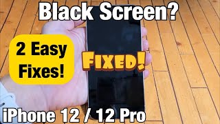 iPhone 12 Black Screen or Blank Screen Screen Wont Turn On 2 Fixes [upl. by Lerud525]