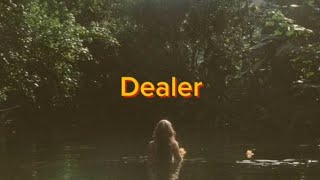 Dealer Lana Del Rey cover [upl. by Slade]