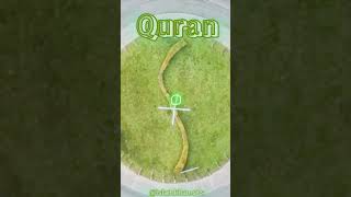 Quran translationQuran translationmotivation Islamic shorts shorts ytshorts [upl. by Ettelocin]