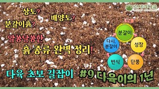 상토 배양토 분갈이흙 헷갈리는 흙 종류 딱 정리해드려요 다육 초보 길잡이 다육이의 1년 9탄 럭셔리다육 안성 [upl. by Tallula759]