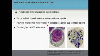 Necrose e apoptose 46  Patologia Geral [upl. by Llerrahs423]