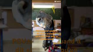 😂🤣pourtoi memes drole funny rigolo humour cheval écoles exams [upl. by Centonze]