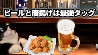 居酒屋で一人飲みした何気ない話【猫ミーム】 [upl. by Nytsuj]