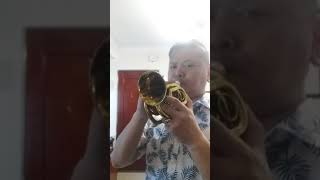 carol brass mini pocket trumpet feat antimute bell effect [upl. by Norrahc519]