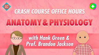 Crash Course Office Hours Anatomy amp Physiology [upl. by Milda]