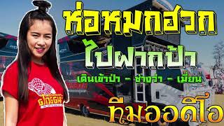 ห่อหมกฮวกไปฝากป้า  ใบปอ Cover รถแห่ทีมออดิโอ ใหม่ล่าสุด 2018 [upl. by Vareck]