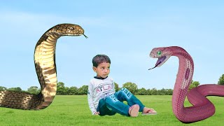 saamp wala video  snake video  short movie [upl. by Heid]