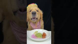 Kiki dog breakfast with vegetable noodles dog eat foodie mukbang asmr goldenretriever [upl. by Klement]