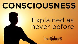 Consciousness Explained [upl. by Buxton]