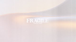 Fragile Official Lyric Video [upl. by Rumney]