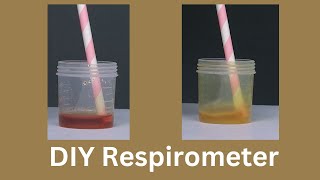 DIY Respirometer  ThinkTac  DIY Science [upl. by Johannah616]