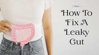 How To Fix A Leaky Gut [upl. by Azmuh942]