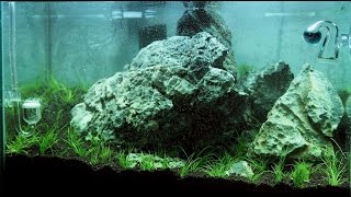 Nano Iwagumi Aquascape quotThe Big Onequot ADA Mini M  Step by Step [upl. by Joashus65]