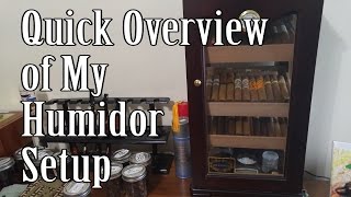 Quick Overview of My Humidor Setup  Cigars 101 [upl. by Kowal558]