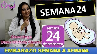 EMBARAZO SEMANA 24 EMBARAZO SEMANA A SEMANA POR GINECOLOGA DIANA ALVAREZ [upl. by Korie224]