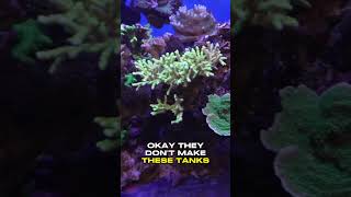 Rare 250 Gallon Saltwater Aquarium Tank [upl. by Eey832]