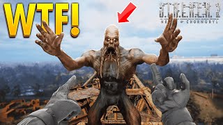 STALKER 2  TOP 100 WTF amp FUNNY Moments 4 [upl. by Arihsay161]