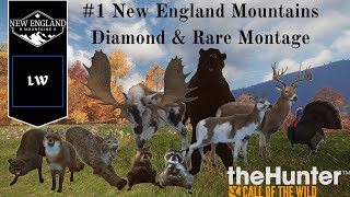 1 Diamond amp Rare Montage New England Mountains  Thehunter Call of the Wild [upl. by Taveda]