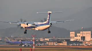 【航空機】高知空港 着陸 Bombardier DHC8Q400JA850A [upl. by Soinski]