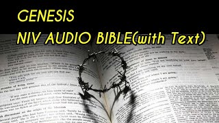 GENESISNIV AUDIO BIBLE with text [upl. by Alleram]