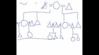 Kinship Diagram help [upl. by Rella619]